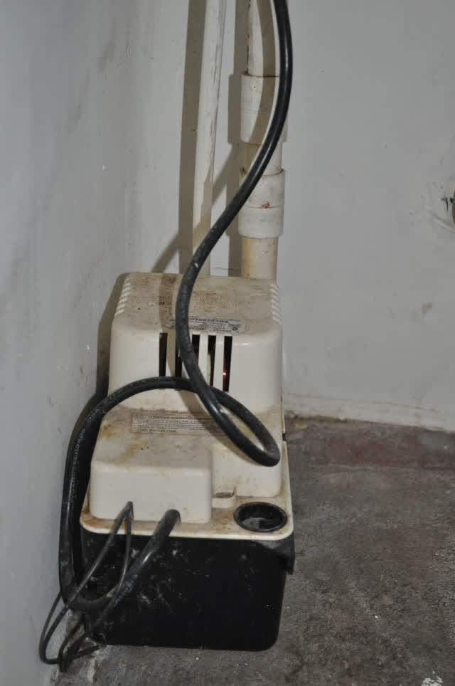 Mini condensate pump on a basement floor with its drain lines and power cord, the type used beside furnaces and air handlers