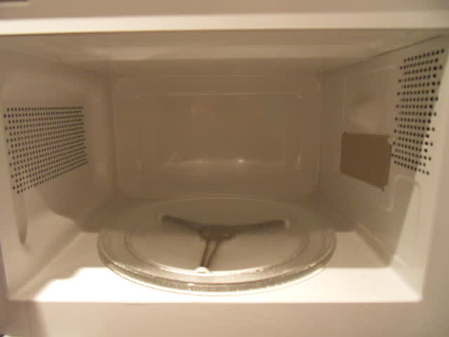 Microwave oven cavity: the rectangular waveguide cover on the right wall, vent perforations, and the glass turntable tray on its three-arm drive coupler