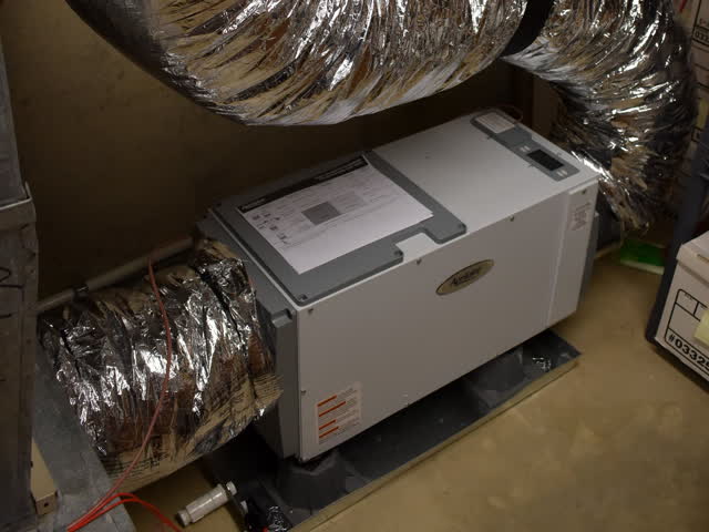 Ducted whole-house dehumidifier on a stand in a basement, with insulated flex ducts and a PVC condensate drain fitting at the base